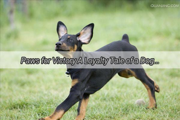 Paws for Victory A Loyalty Tale of a Dog Who Brought the Banner High for His Sisters Triumph